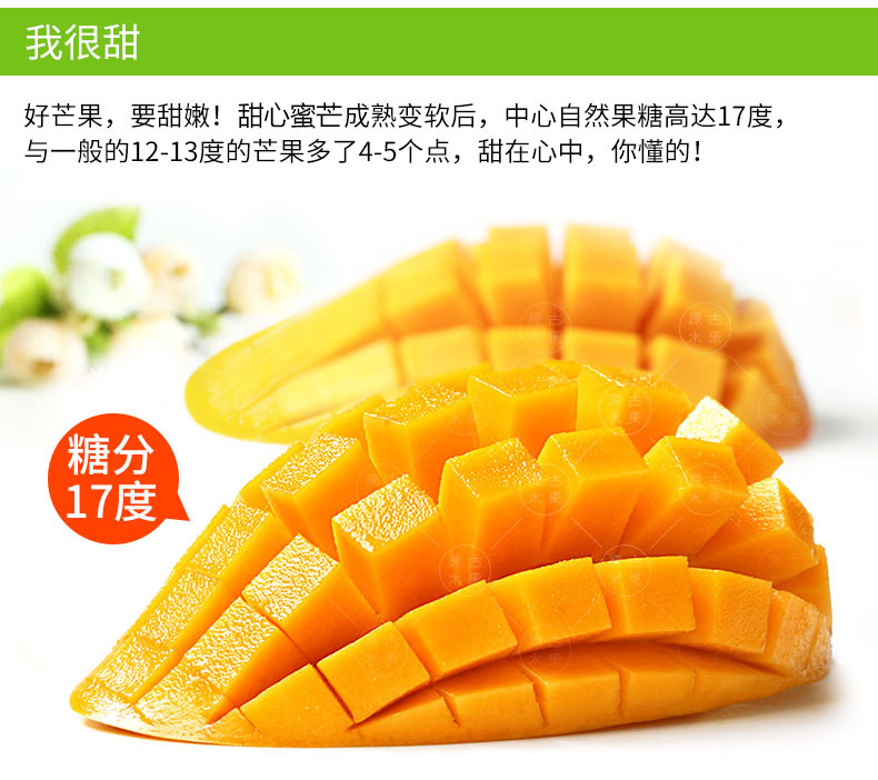 广西玉芒果大青芒当季时令新鲜水果青芒果10/8/5/3斤装多规格包邮