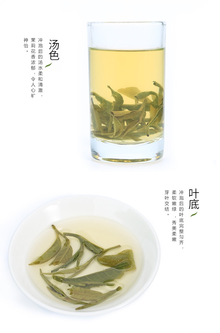 新茶茉莉花茶白龙珠【特贡级】浓香型茶叶送人礼茶多规格125g500g